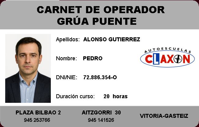 Carnet grua puente